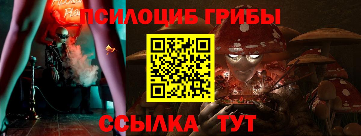 Галлюциногенные грибы MAGIC MUSHROOMS  Галлюциногенные грибы Psilocybine cubensis  Калининград  Вход с VPN 