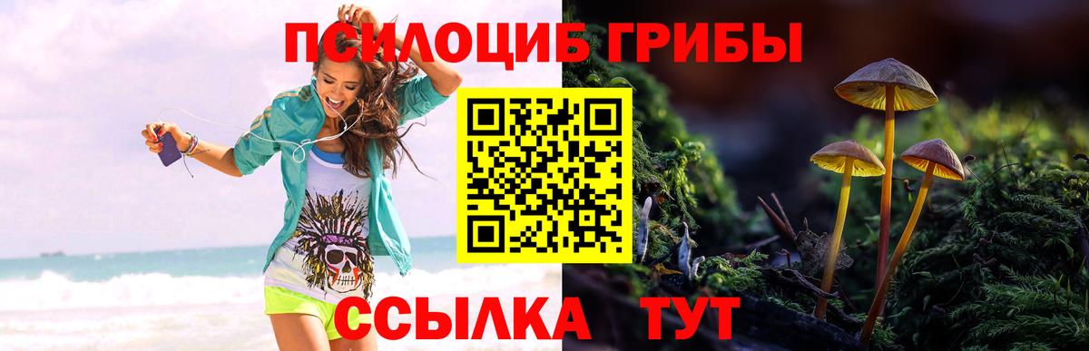 Псилоцибиновые грибы мухоморы Калининград